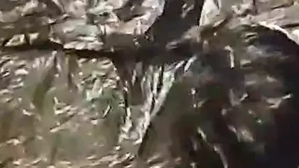 /beam/67a86208cc498f247e831491