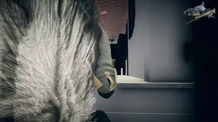 /beam/67a862eecc498f247e8e34d2