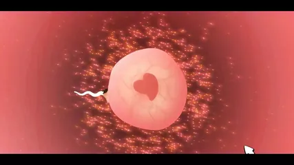 /beam/67a862f7cc498f247e8ea56c