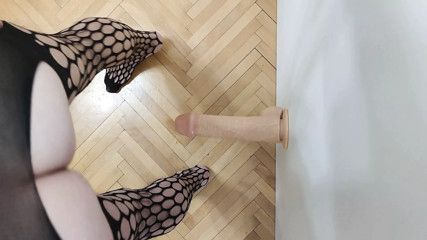 training my big dildo male cat