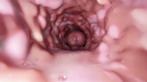 It's amazing to see the pussy from the inside while you're fucking it.