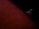 /beam/230694