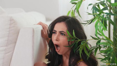Call The Whambulence My BF Is A Cheater Lily Lou, Chloe Surreal Brazzers