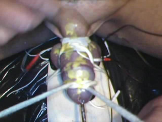 cbt2 : urethra sounding and waxing