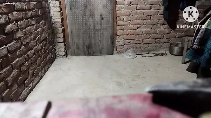 /beam/67a8638acc498f247e961ec7