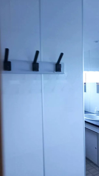 Hotel toilet wanking