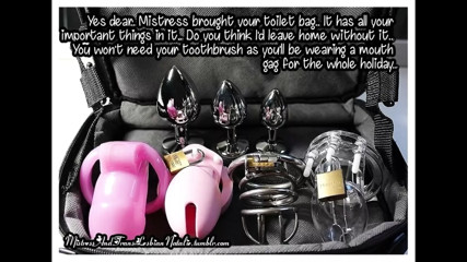 SISSIES IN CHASTITY