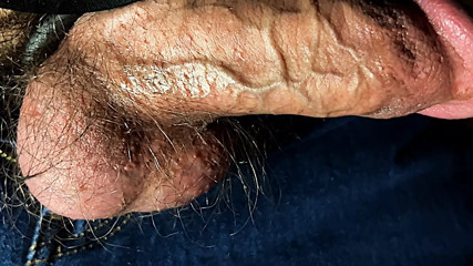 Big Veiny Cock Shaft out of jeans close up