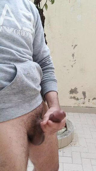 Arabe zeb maroc