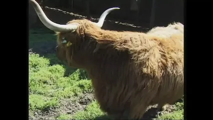 /beam/67a8636dcc498f247e948c5d