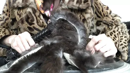 /beam/67a86304cc498f247e8f2ff8