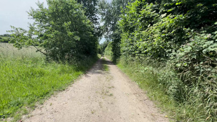 Boy naked on public dirt road