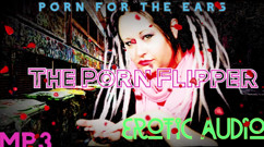 AUDIO ONLY - The porn flipper