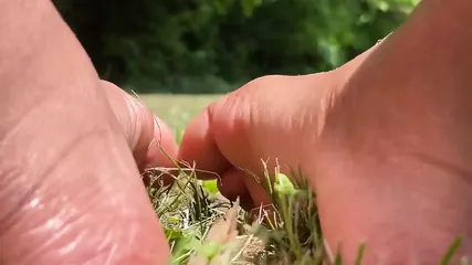 /beam/67a8635bcc498f247e93ab31