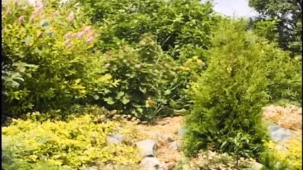 /beam/67a861f6cc498f247e82388c