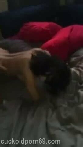 /beam/67a86166cc498f247e7b0795