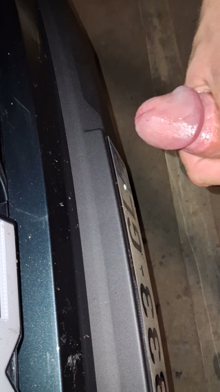 I fuck my naked car in the garage