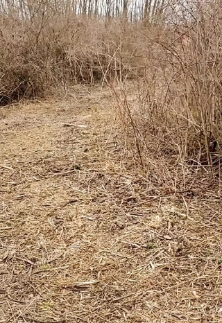 Watch my ass bounce while I run naked