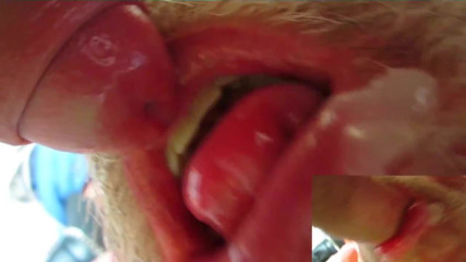Tom Bear presents Cum 2017 with uncut dick
