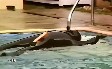 /beam/67a86340cc498f247e924f98