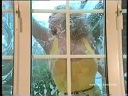 The Window Cleaner