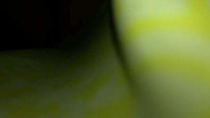 /beam/13204668