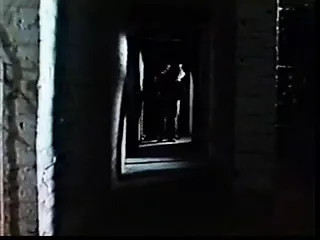 /beam/323544