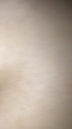 /beam/5302729