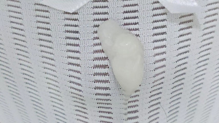 cum in panties thumbnail