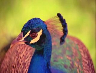 /beam/67a85ef4cc498f247e53cd7d