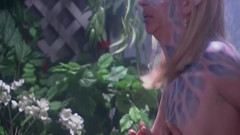 Pamela - The Painted Fantasy