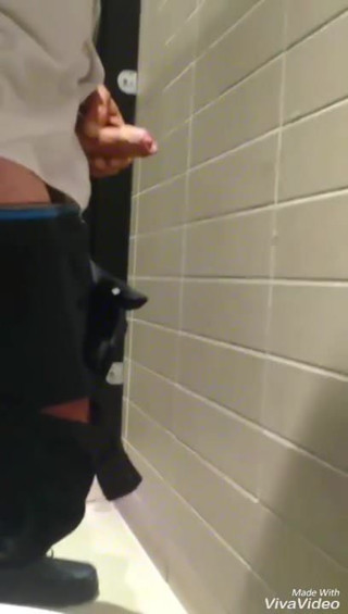 Toilet wall cum