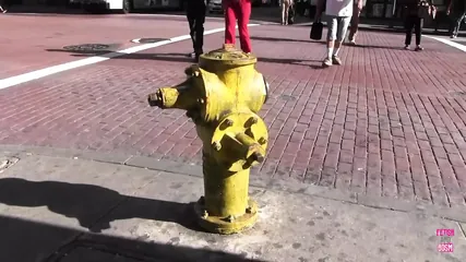 /beam/67a862d7cc498f247e8d145d