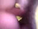 me fucking some random bird