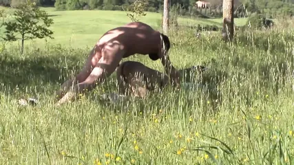 /beam/67a86377cc498f247e951748