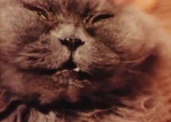 /beam/67a8606dcc498f247e6c6335