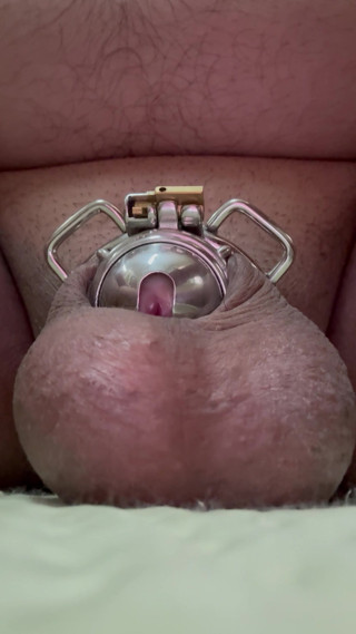 Pig slave in Open-Ended Double Ring Cock Cage