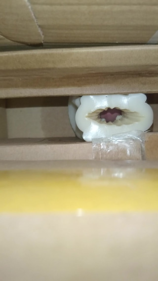 Cum inside homemade silicone pussy 2