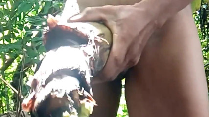 The Tight Hole of the Banana Tree Is Delicious