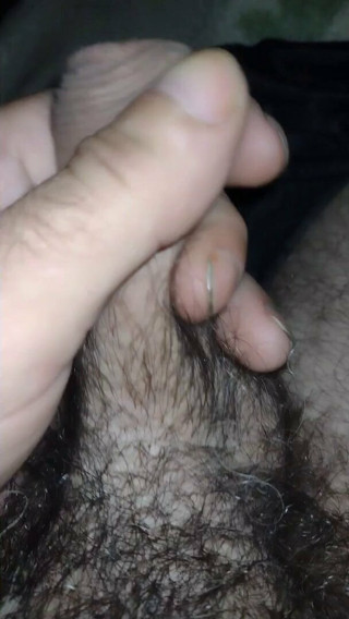 my little relaxed dick, Petrinja10
