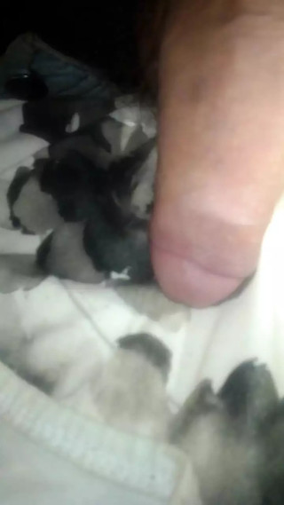 young colombian porn with very big penis