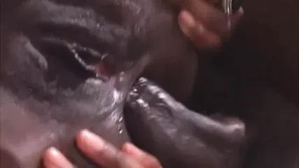 /beam/67a861d5cc498f247e809642