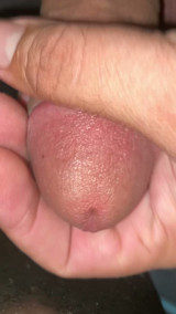 My big cock it's getting an erection from the horn, and it's wanting to fuck someone's pussy hole