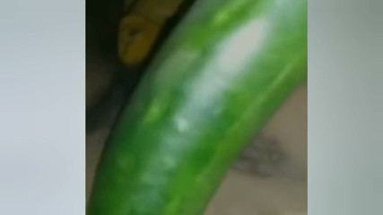 A young woman, suffering from the pain of not having her partner near her, is inserting a cucumber into her pussy.