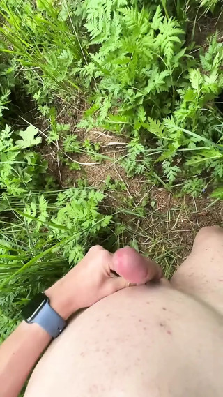 In the Forest.