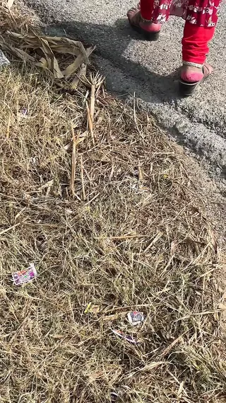 /beam/67a8636fcc498f247e94a62c