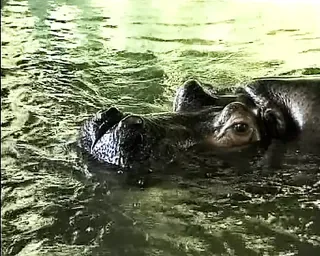 /beam/67a86296cc498f247e89f240