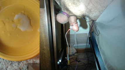 Estim milking