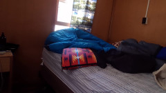 Doggy Interrupted