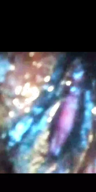 /beam/67a86343cc498f247e926b9d